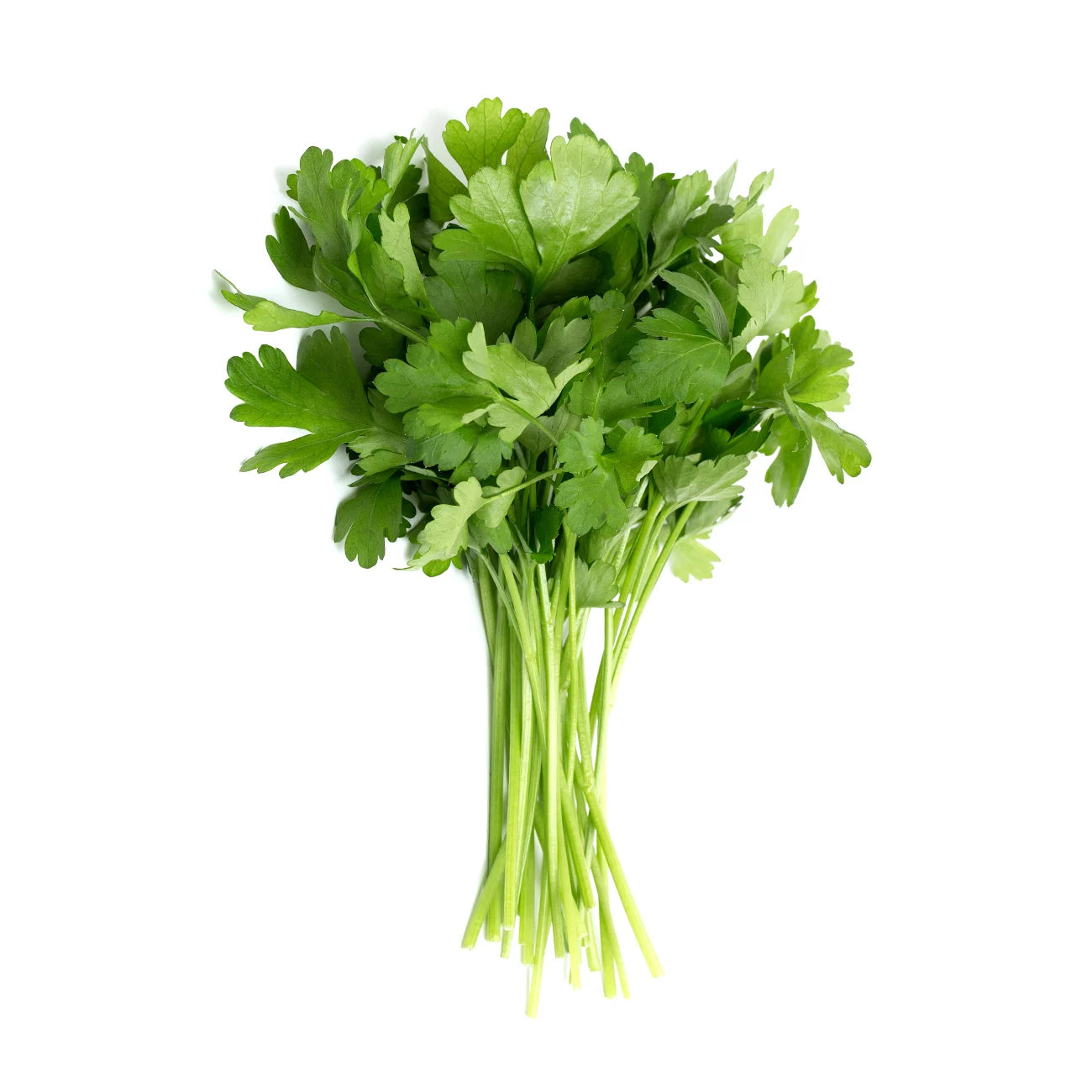 Parsley