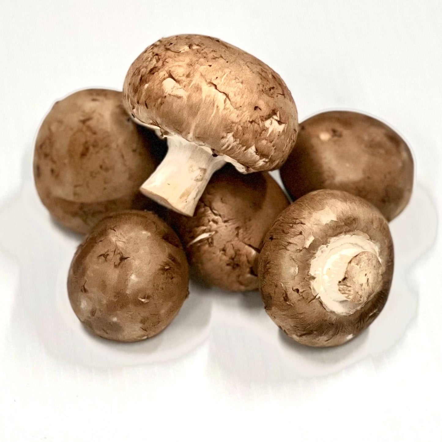 Mushrooms Swiss Brown
