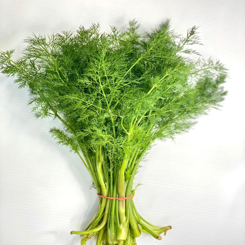 Dill