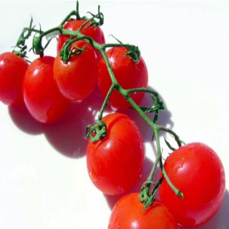 Tomatoes Truss (Bunch)