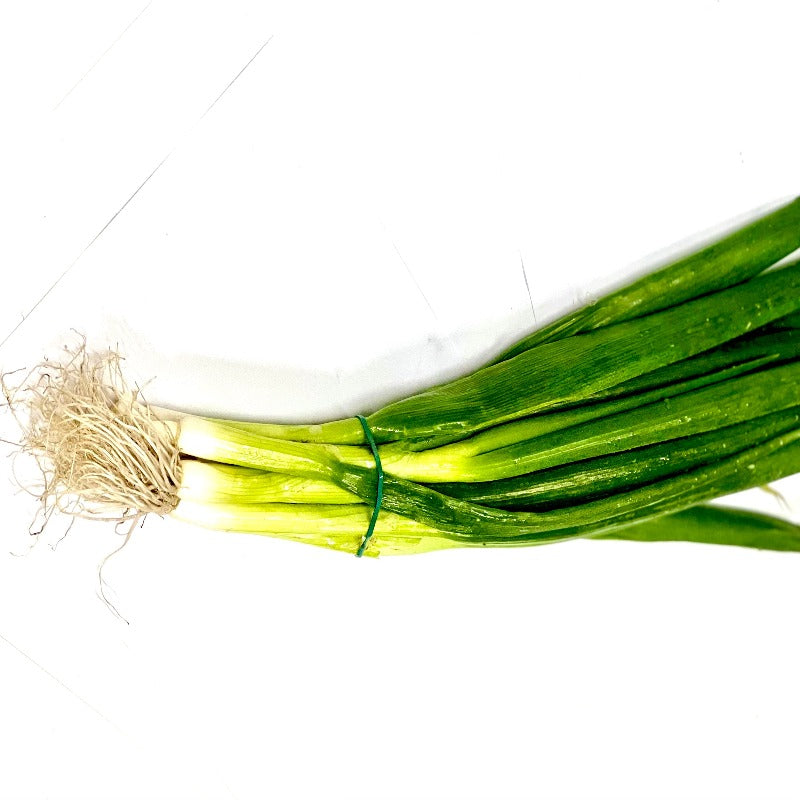 Onions Spring – The Fresh Feast