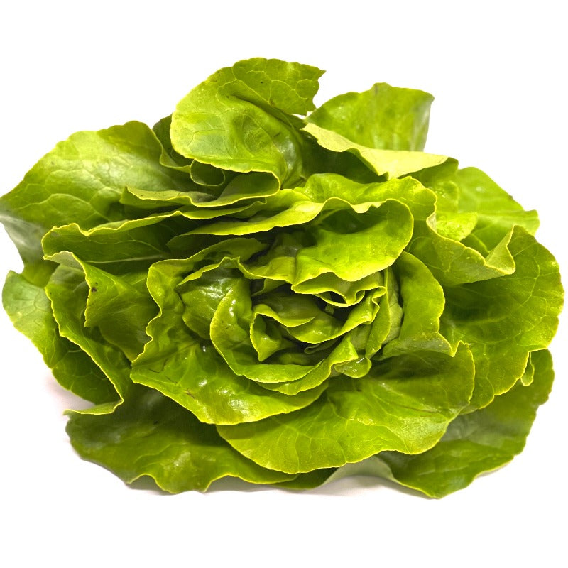 The Fresh Feast | Dive into Freshness with Fruits and Vegetables