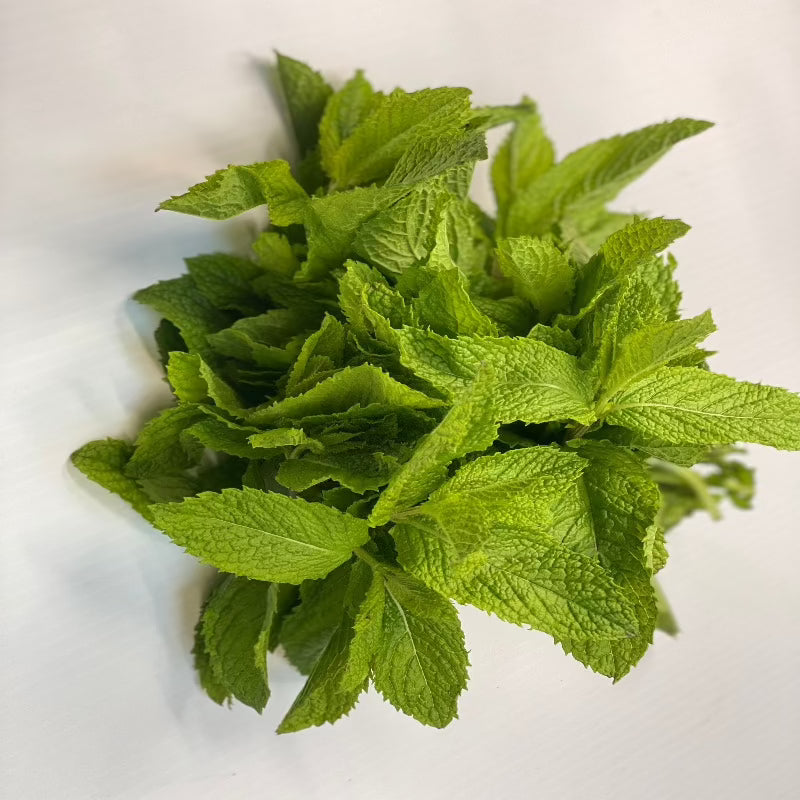 Mint